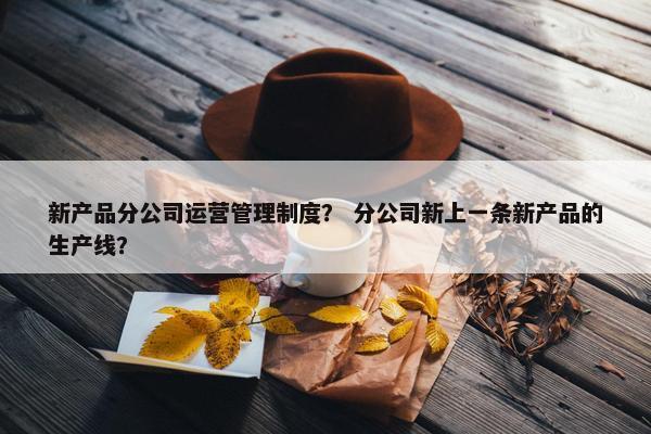新产品分公司运营管理制度？ 分公司新上一条新产品的生产线？