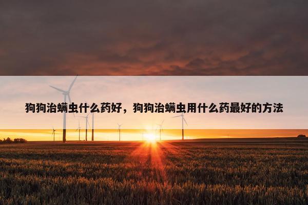 狗狗治螨虫什么药好，狗狗治螨虫用什么药最好的方法