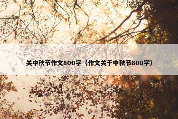 关中秋节作文800字（作文关于中秋节800字）
