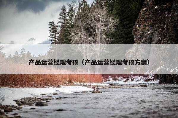 产品运营经理考核（产品运营经理考核方案）