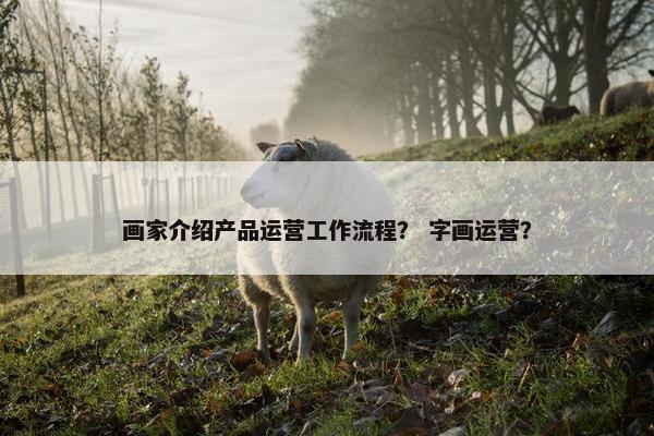 画家介绍产品运营工作流程？ 字画运营？