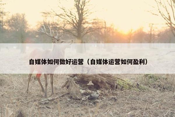 自媒体如何做好运营（自媒体运营如何盈利）