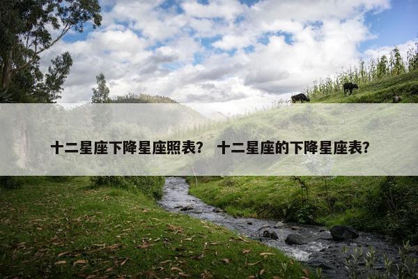 十二星座下降星座照表？ 十二星座的下降星座表？