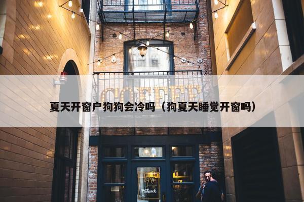 夏天开窗户狗狗会冷吗（狗夏天睡觉开窗吗）
