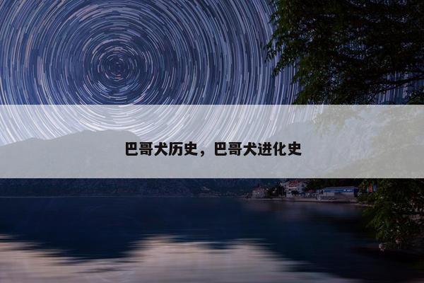 巴哥犬历史，巴哥犬进化史