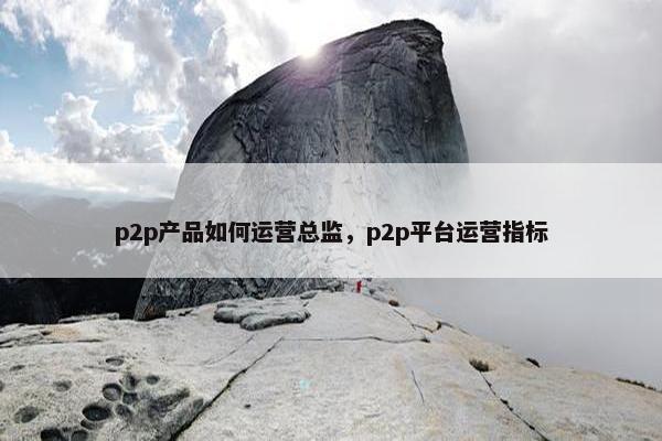 p2p产品如何运营总监，p2p平台运营指标