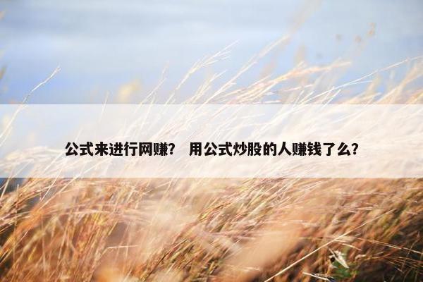 公式来进行网赚？ 用公式炒股的人赚钱了么？