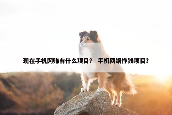 现在手机网赚有什么项目? 手机网络挣钱项目? 现在手机网赚有什么项目? 手机网络挣钱项目?