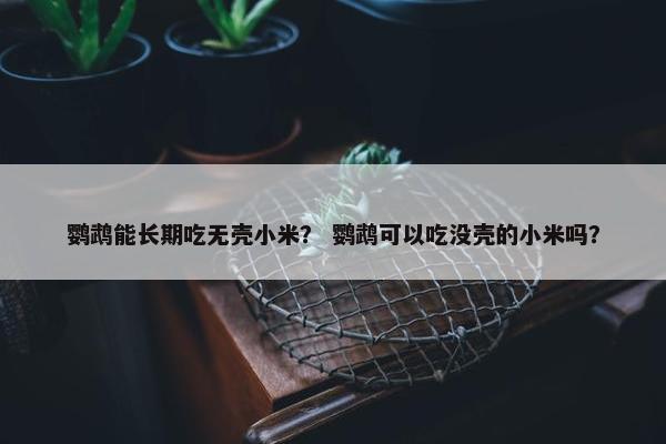 鹦鹉能长期吃无壳小米？ 鹦鹉可以吃没壳的小米吗？