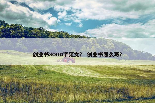 创业书3000字范文？ 创业书怎么写？