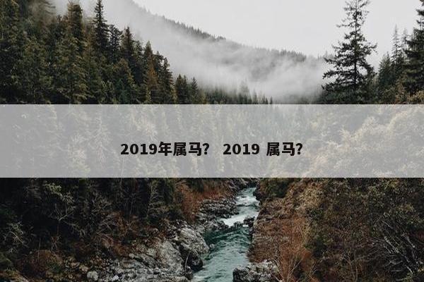 2019年属马? 2019 属马? 2019年属马? 2019 属马?