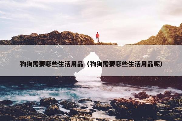 狗狗需要哪些生活用品（狗狗需要哪些生活用品呢）