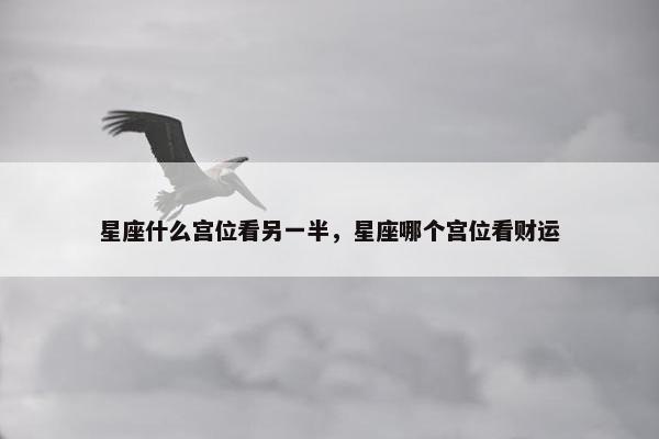 星座什么宫位看另一半，星座哪个宫位看财运
