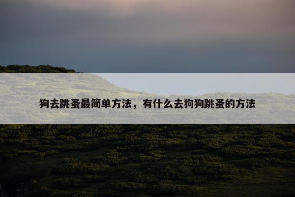 狗去跳蚤最简单方法，有什么去狗狗跳蚤的方法