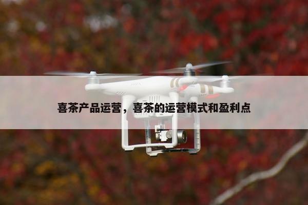 喜茶产品运营，喜茶的运营模式和盈利点