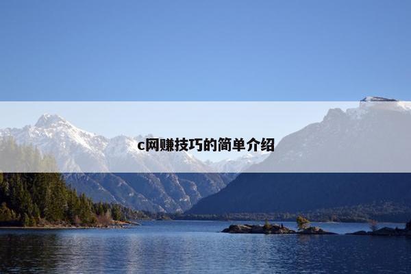 c网赚技巧的简单介绍