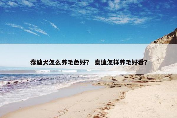 泰迪犬怎么养毛色好？ 泰迪怎样养毛好看？