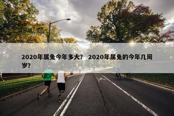 2020年属兔今年多大？ 2020年属兔的今年几周岁？