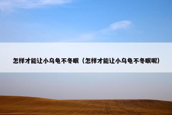 怎样才能让小乌龟不冬眠（怎样才能让小乌龟不冬眠呢）