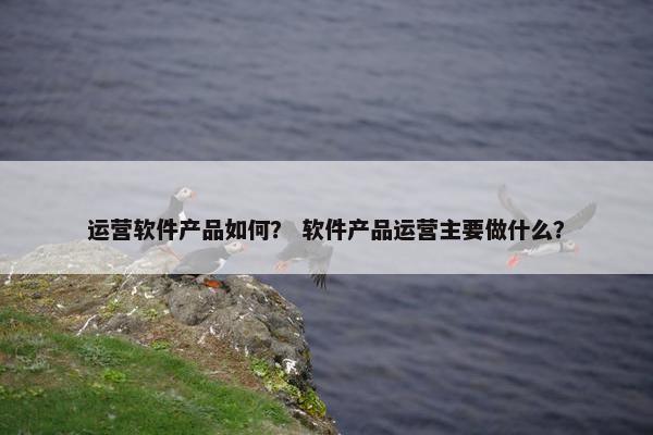 运营软件产品如何？ 软件产品运营主要做什么？