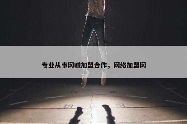 专业从事网赚加盟合作，网络加盟网