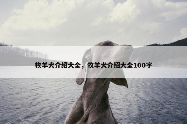 牧羊犬介绍大全，牧羊犬介绍大全100字
