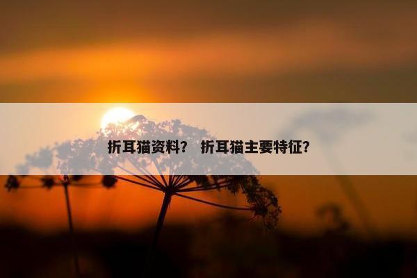 折耳猫资料？ 折耳猫主要特征？