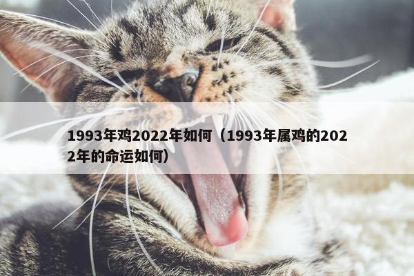 1993年鸡2022年如何（1993年属鸡的2022年的命运如何）