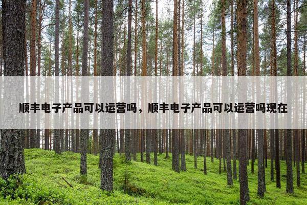 顺丰电子产品可以运营吗，顺丰电子产品可以运营吗现在