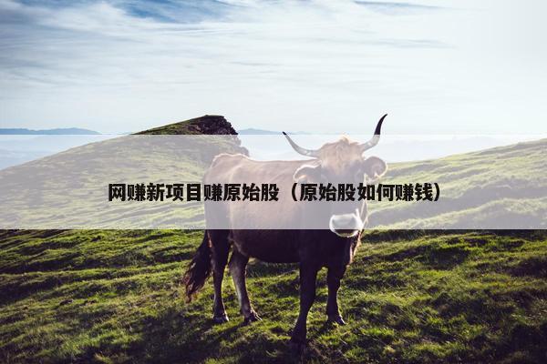 网赚新项目赚原始股（原始股如何赚钱）