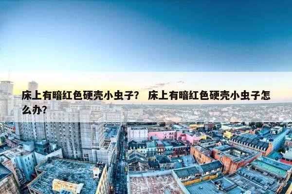 床上有暗红色硬壳小虫子？ 床上有暗红色硬壳小虫子怎么办？