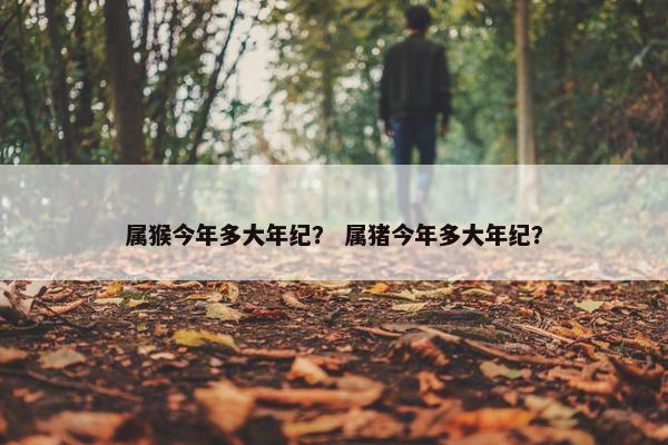 属猴今年多大年纪？ 属猪今年多大年纪？
