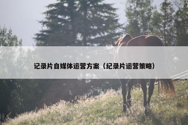 记录片自媒体运营方案（纪录片运营策略）