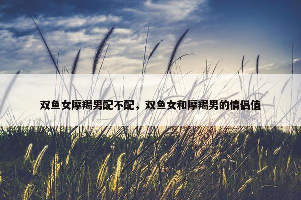 双鱼女摩羯男配不配，双鱼女和摩羯男的情侣值