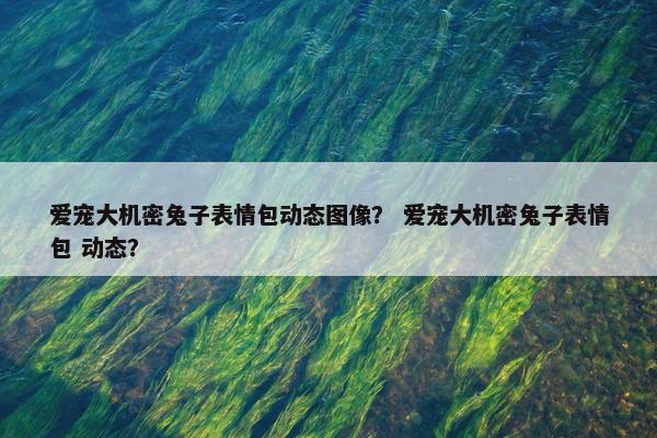 爱宠大机密兔子表情包动态图像？ 爱宠大机密兔子表情包 动态？
