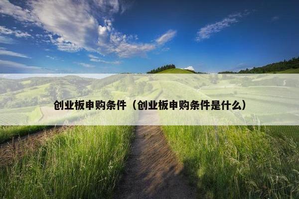 创业板申购条件（创业板申购条件是什么）