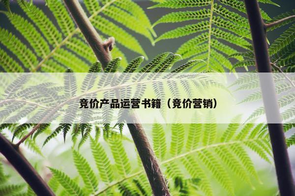 竞价产品运营书籍（竞价营销）