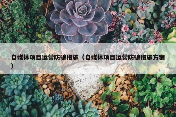 自媒体项目运营防骗措施（自媒体项目运营防骗措施方案）