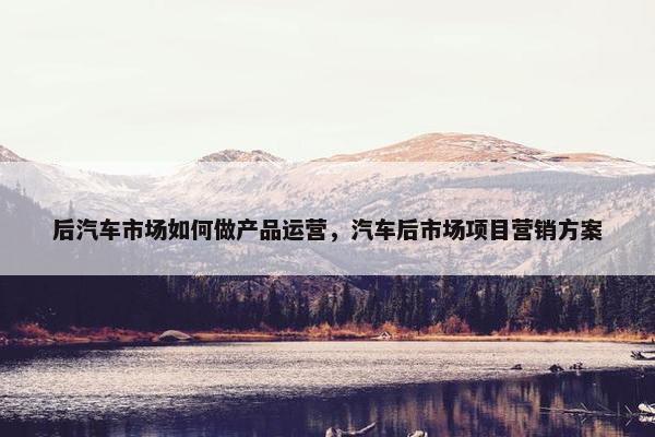 后汽车市场如何做产品运营，汽车后市场项目营销方案