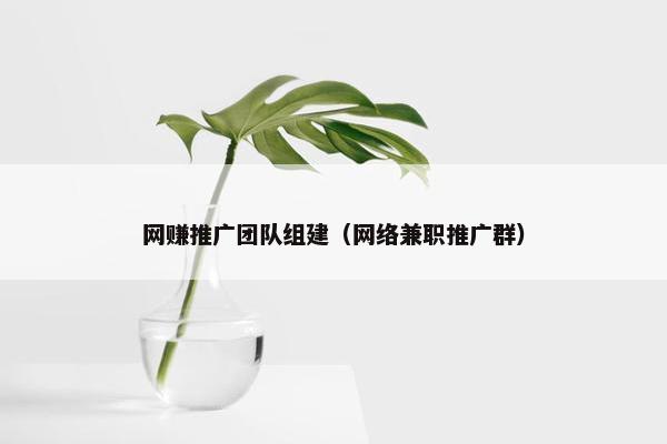 网赚推广团队组建（网络兼职推广群）