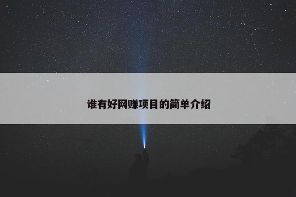 谁有好网赚项目的简单介绍 谁有好网赚项目的简单介绍