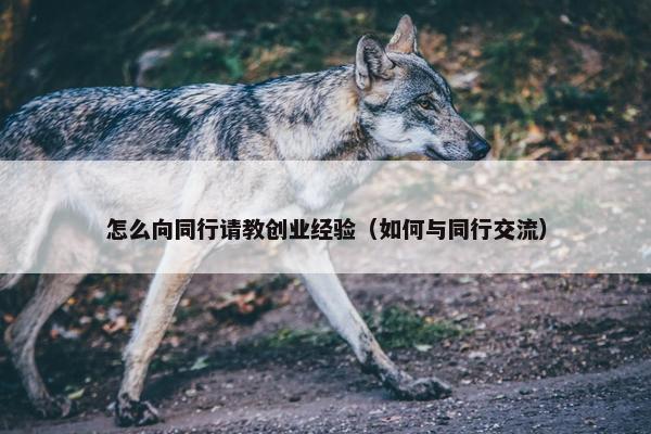 怎么向同行请教创业经验（如何与同行交流）