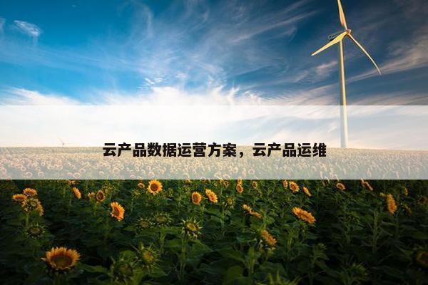 云产品数据运营方案，云产品运维