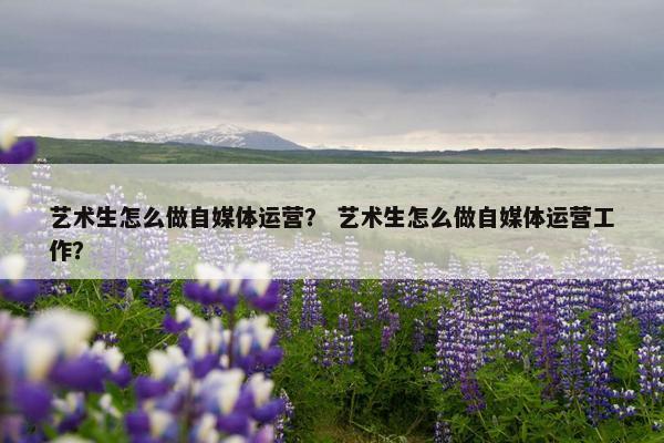 艺术生怎么做自媒体运营？ 艺术生怎么做自媒体运营工作？