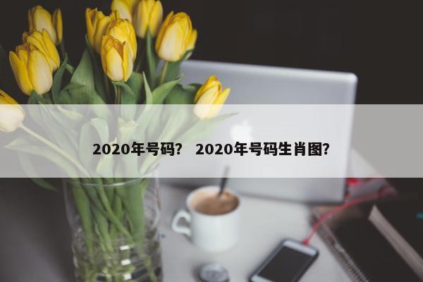 2020年号码？ 2020年号码生肖图？