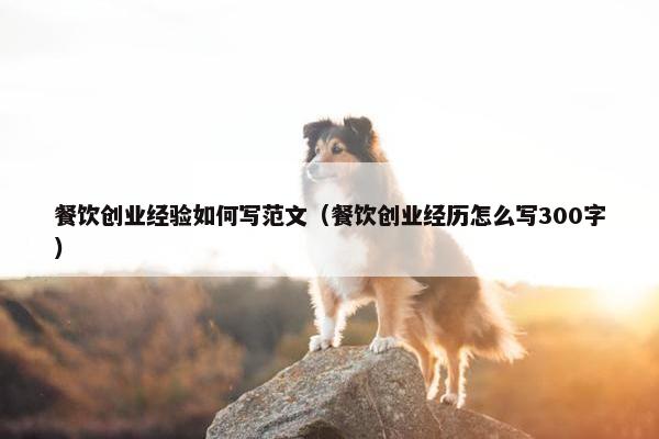 餐饮创业经验如何写范文（餐饮创业经历怎么写300字）