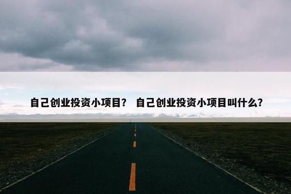 自己创业投资小项目？ 自己创业投资小项目叫什么？