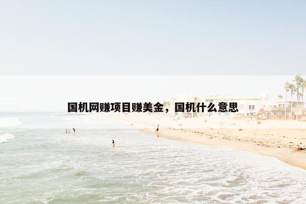 国机网赚项目赚美金，国机什么意思