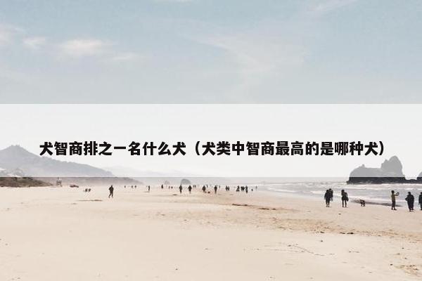 犬智商排之一名什么犬（犬类中智商最高的是哪种犬）