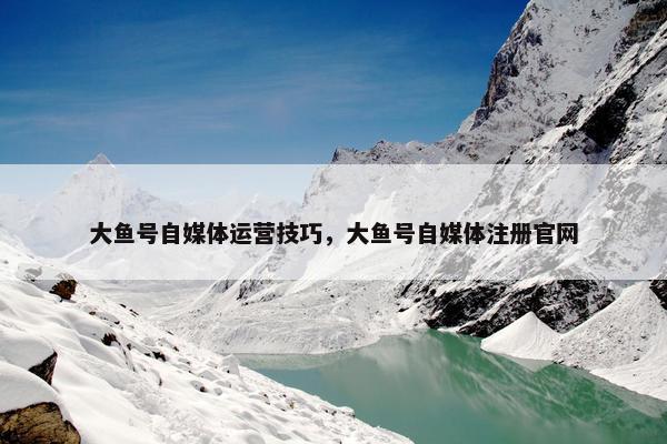 大鱼号自媒体运营技巧，大鱼号自媒体注册官网